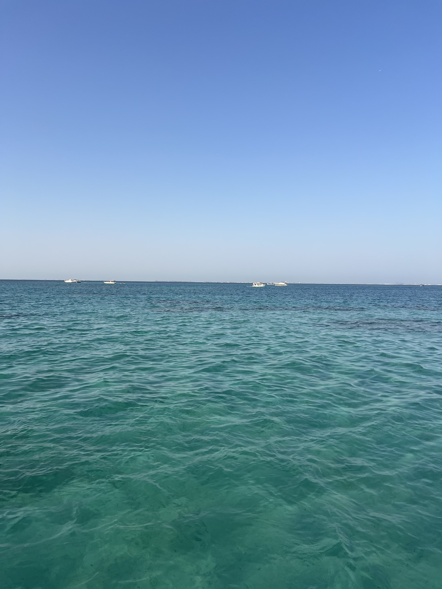 E5503EF7-C922-42DC-A342-59285707E8CE_1_102_o.jpeg